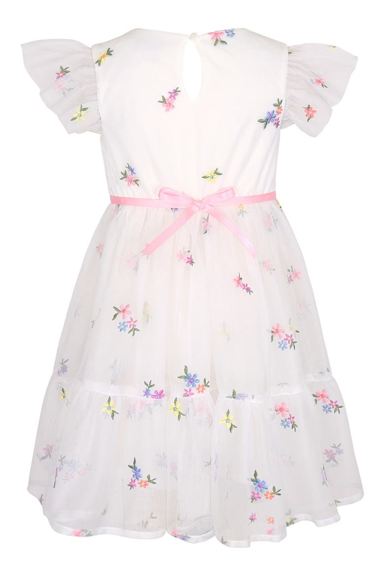 Kids' Embroidered Mesh Party Dress, Alternate, color, IVORY