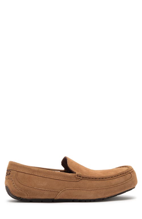 Ugg Alder Faux Shearling Lined Suede Slipper In Chestnut