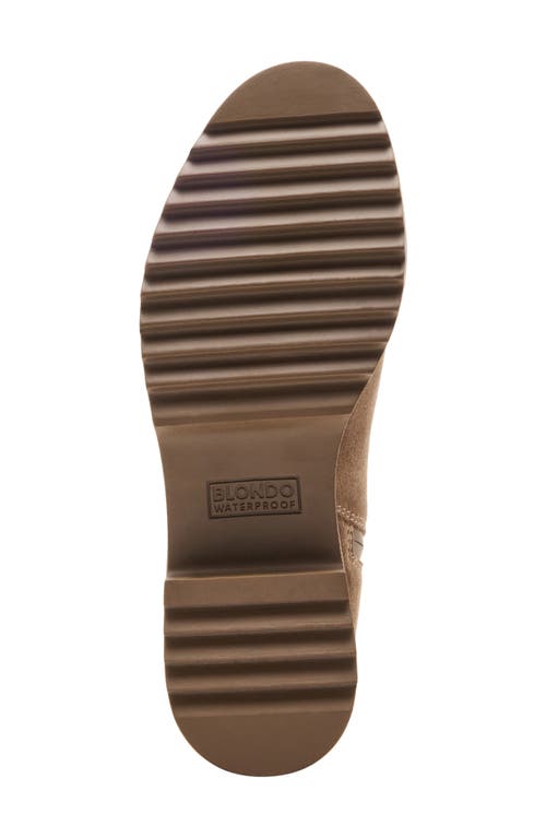 Blondo Ciana Waterproof Knee High Riding Boot In Brown