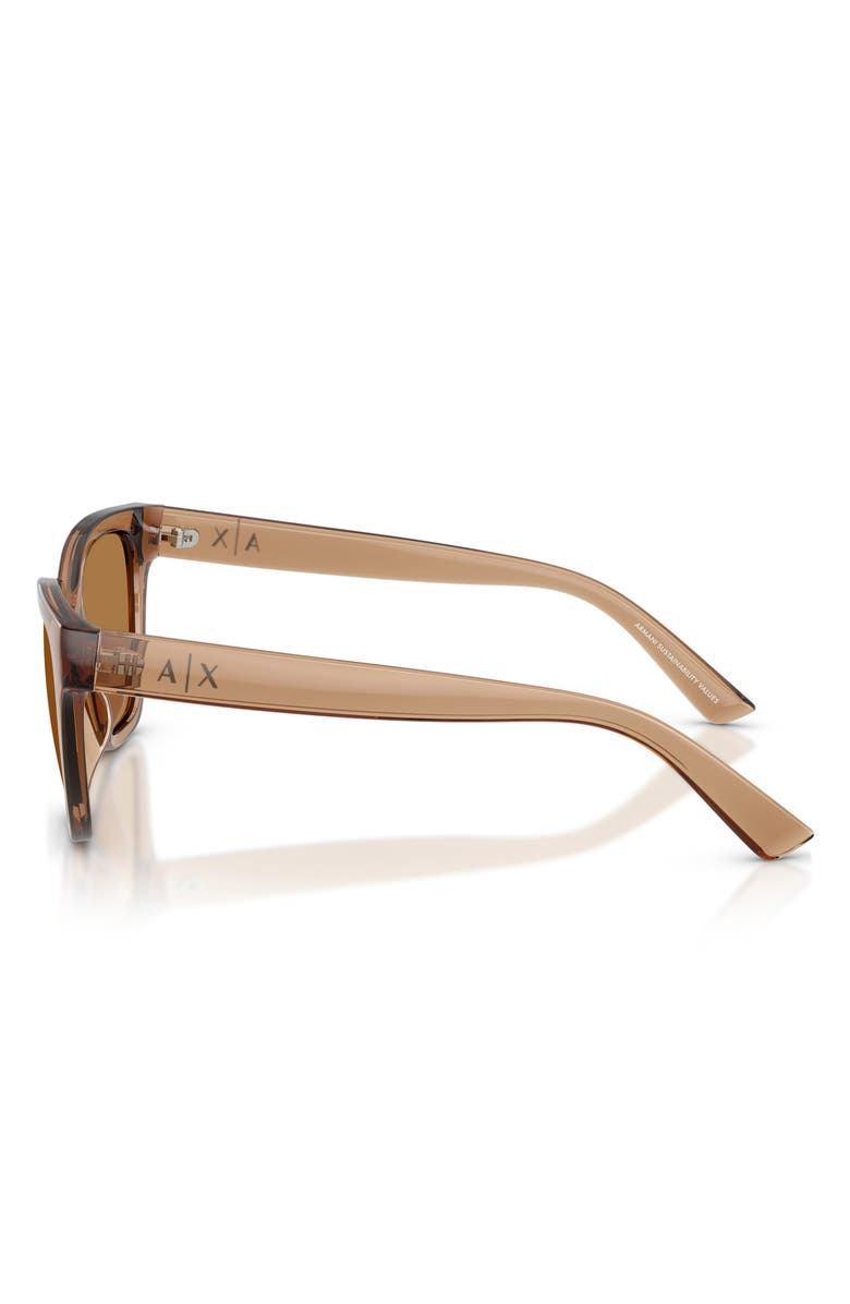 AX Armani Exchange 53mm Cat Eye Sunglasses, Alternate, color, Shiny Brown / Bronze