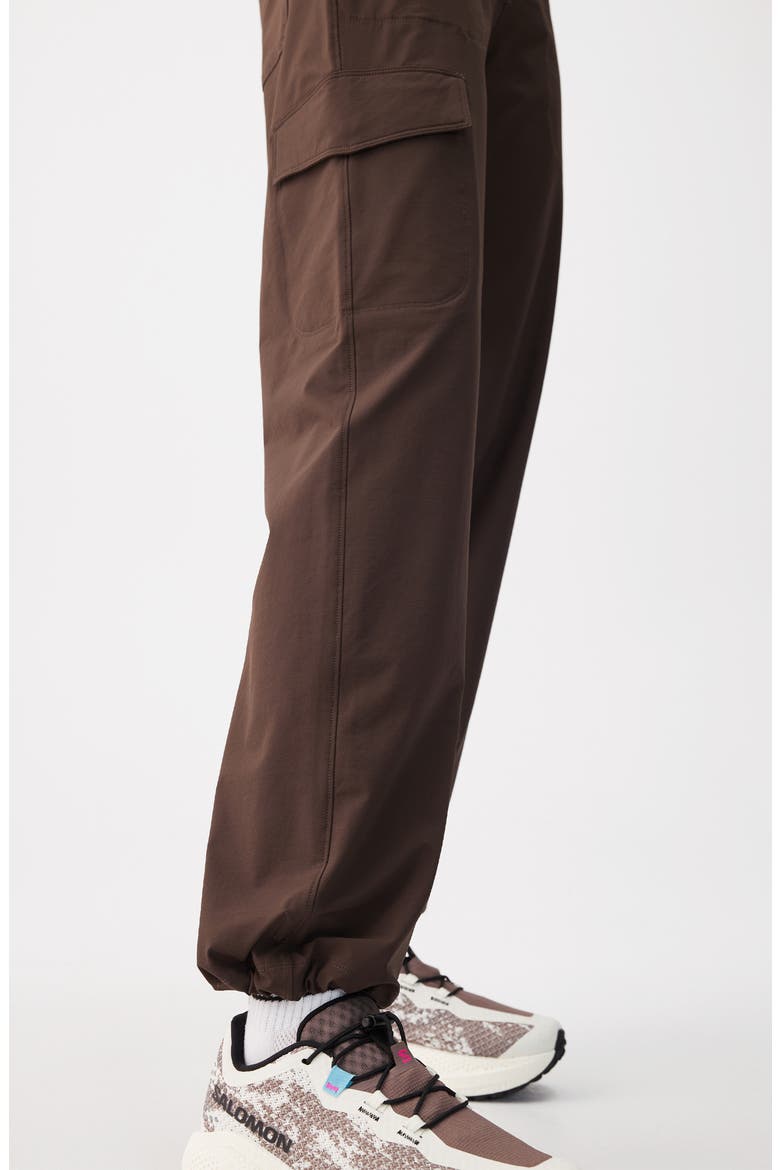 Momentum Water Repellent Tech Trousers, Alternate, color, ESPRESSO