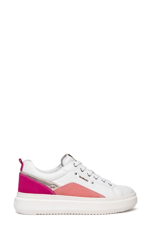 Nerogiardini Retro Colorblock Sneaker