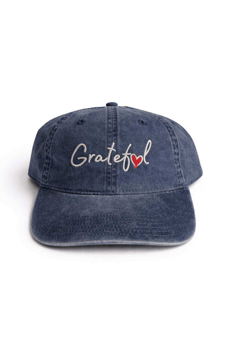 Conscious Ink Grateful Access Cap + Ink, Main, color, Faded Blue