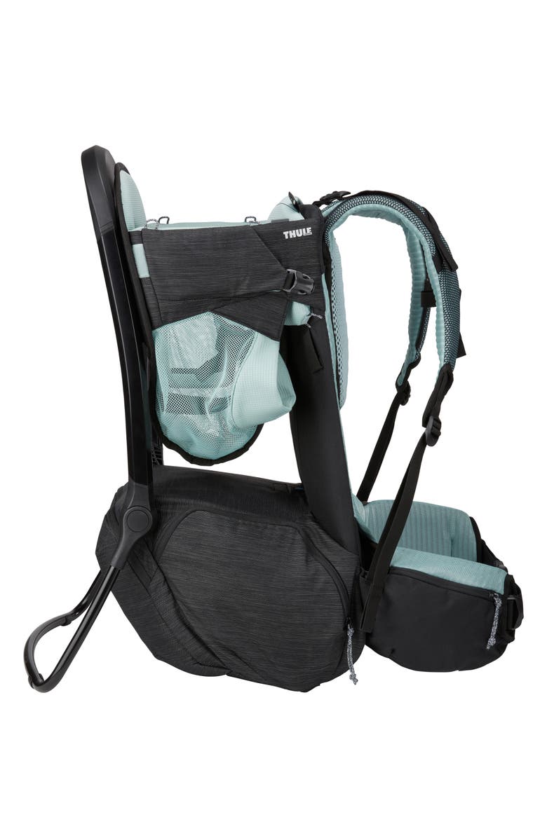 Thule Sapling Child Carrier, Alternate, color, Black