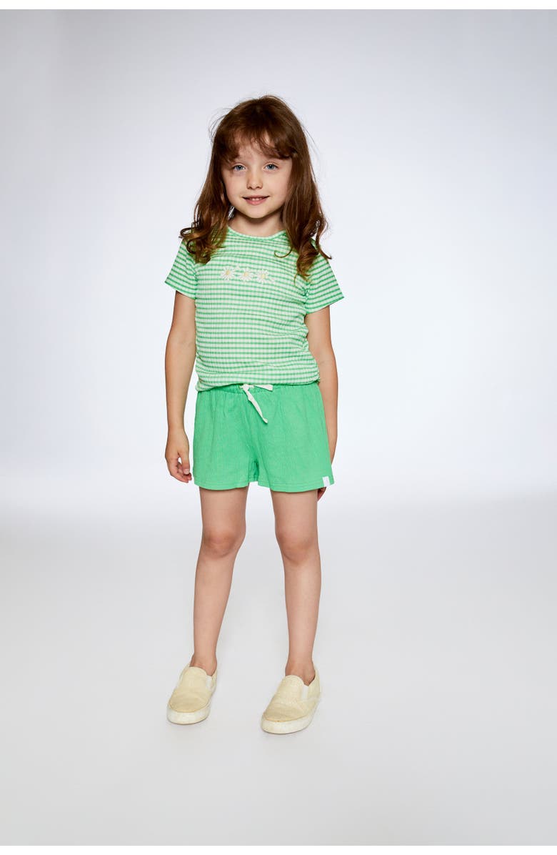 Deux par Deux Little Girl's Crinkle Jersey Top With Flower Applique Vichy Green, Alternate, color, 
