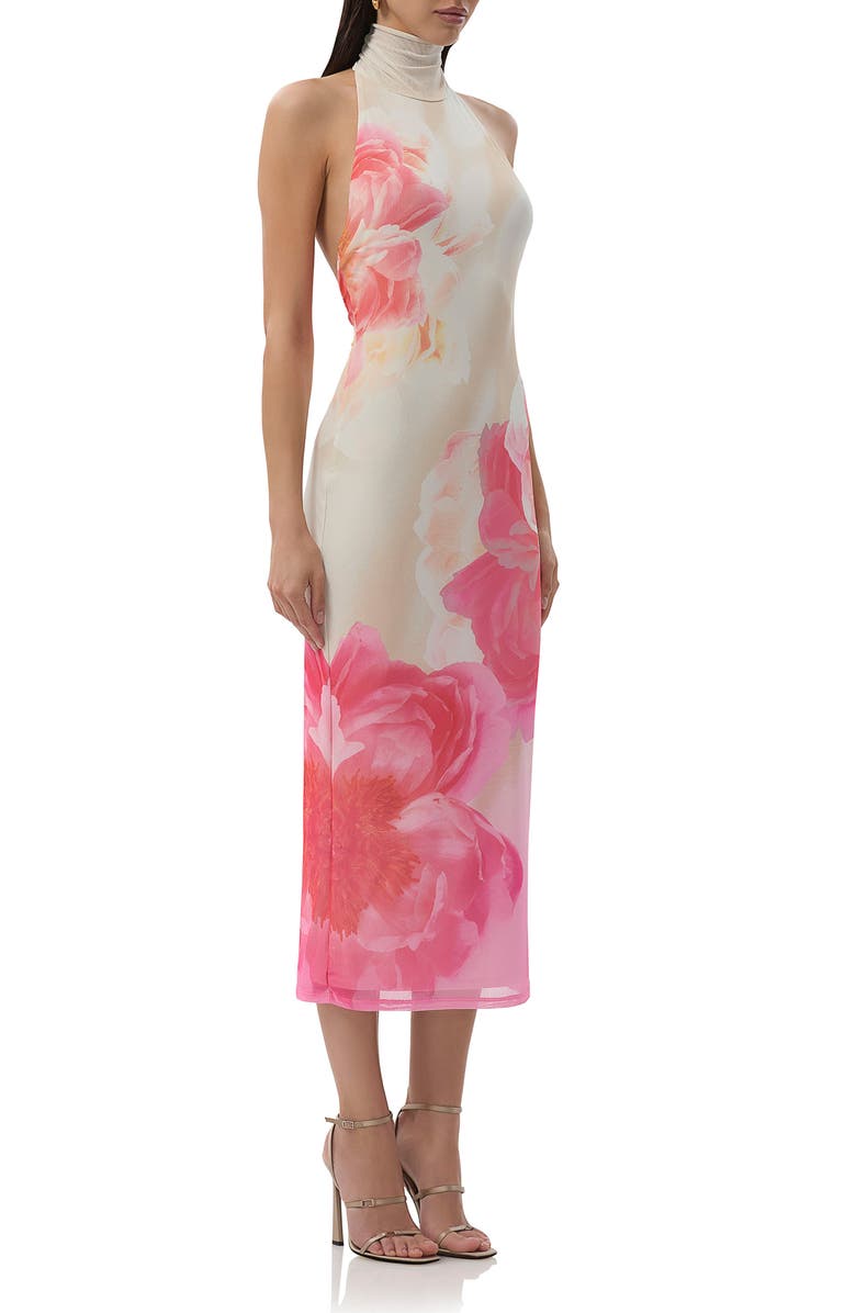 AFRM Olimpia Floral Halter Neck Mesh Dress, Alternate, color, 