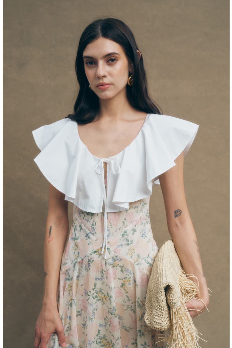 Fawn Floral Oversize Poplin Ruffle Collar Dress, Alternate, color, VINTAGE FLORAL PRINT
