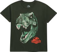 The Forecast Agency Kids' Jurassic Park Cotton Graphic T-Shirt