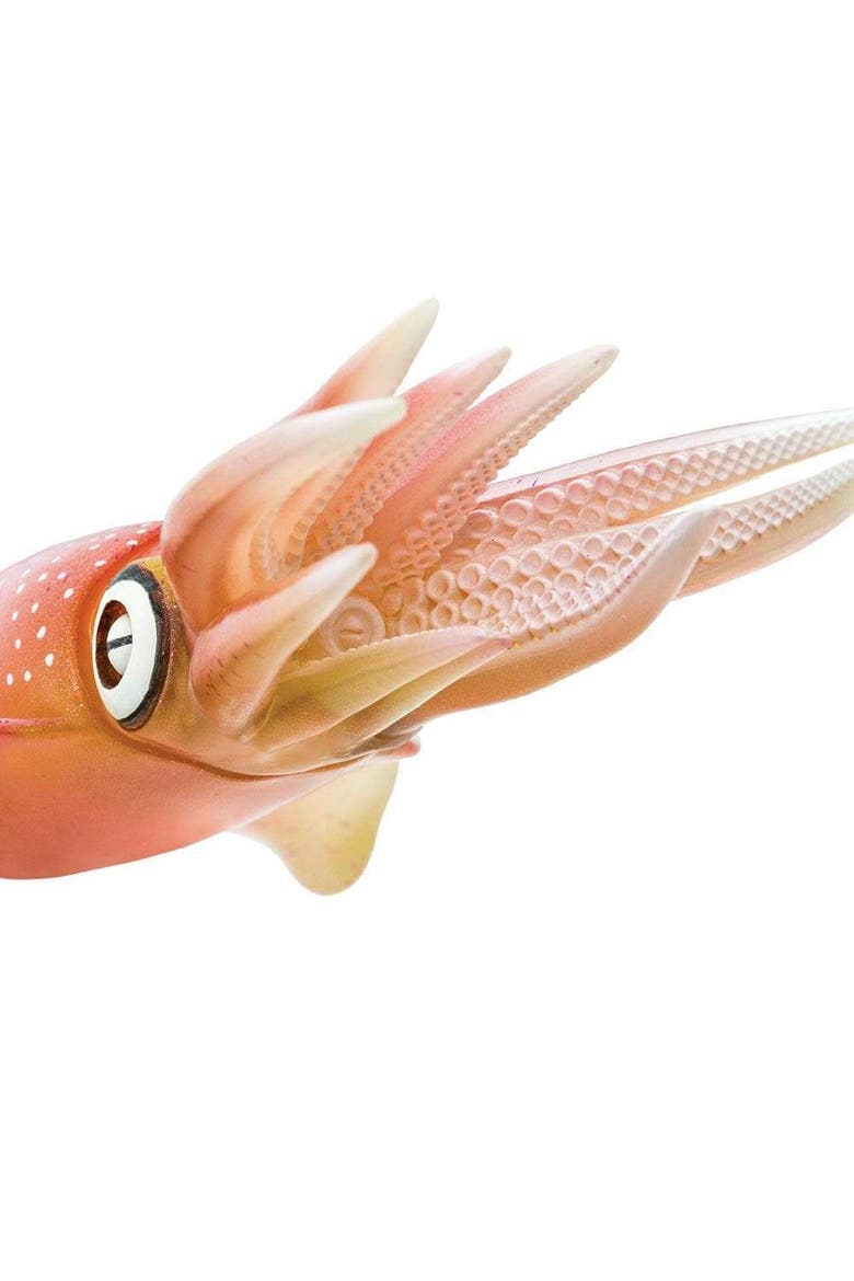Reef Squid Toy, Alternate, color, No Color