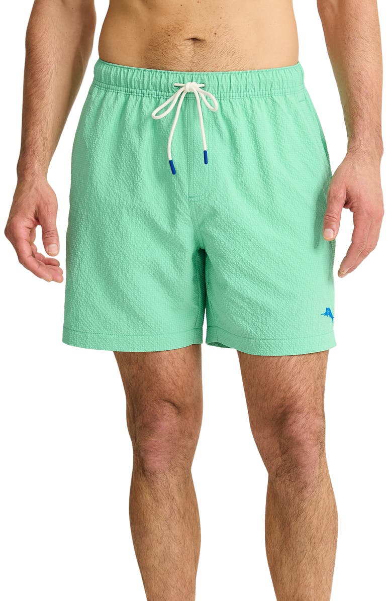 Tommy Bahama Naples Surf Seersucker Volley Swim Trunks, Main, color,