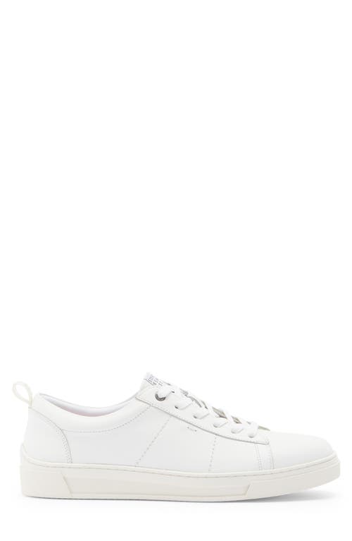 Steve Madden Nickai Sneaker In White