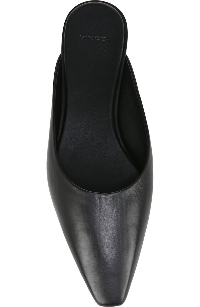 Vince Ana Mule, Alternate, color,
