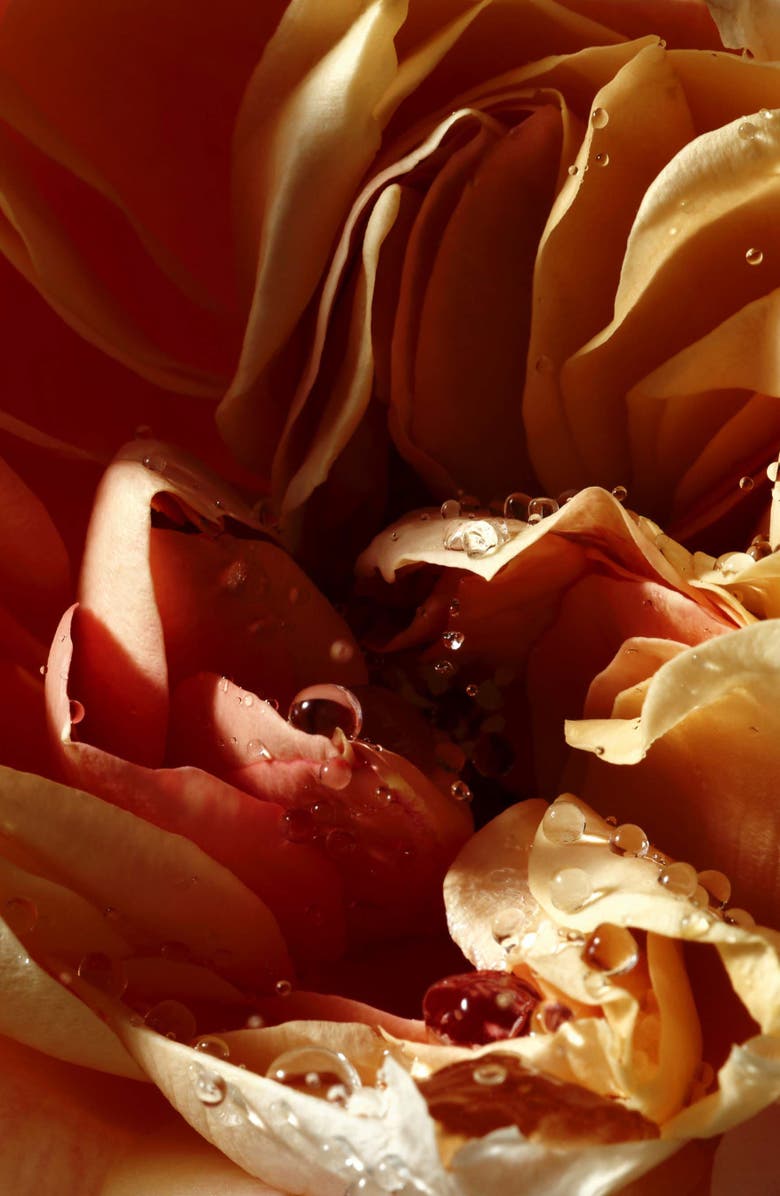 Dries Van Noten Pepper & Rose Liquid Soap, Alternate, color, 