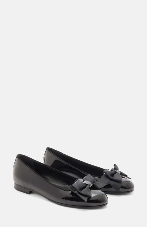 Scarosso Cloe Ballerinas