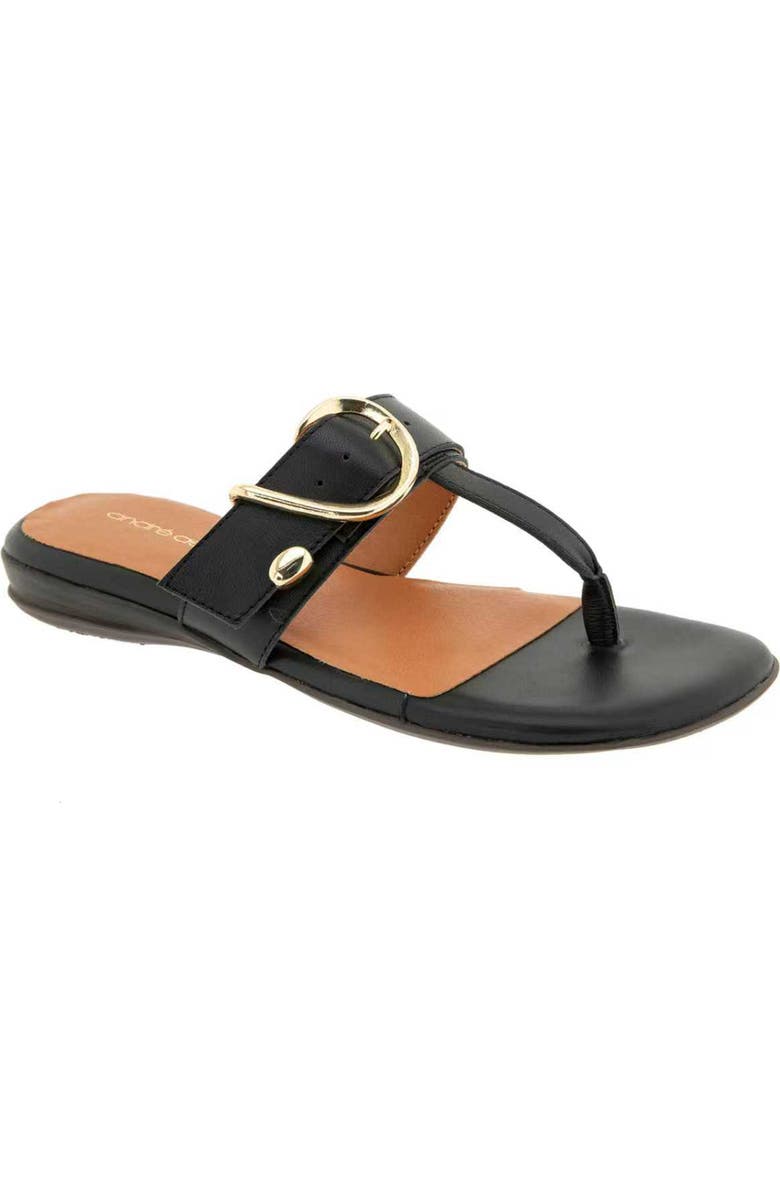 André Assous Nix Flip Flop, Main, color, Black