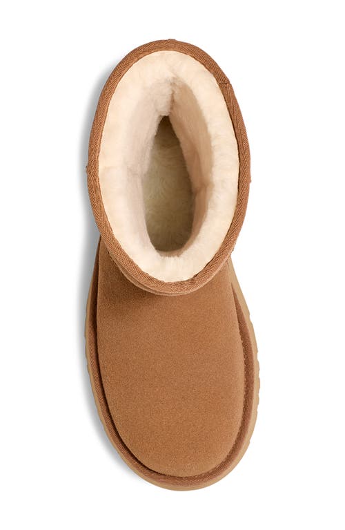 Ugg Twin Seam New Heights Boot In Chestnut