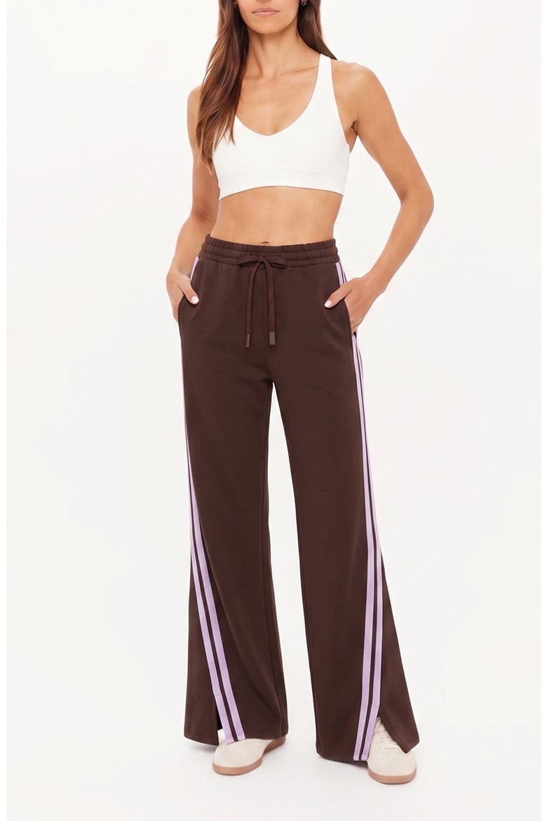 Roma Wide Leg Stripe Pants, Alternate, color, BROWN