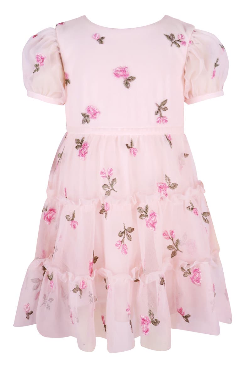 Embroidered Puff Sleeve Party Dress, Main, color, BLUSH