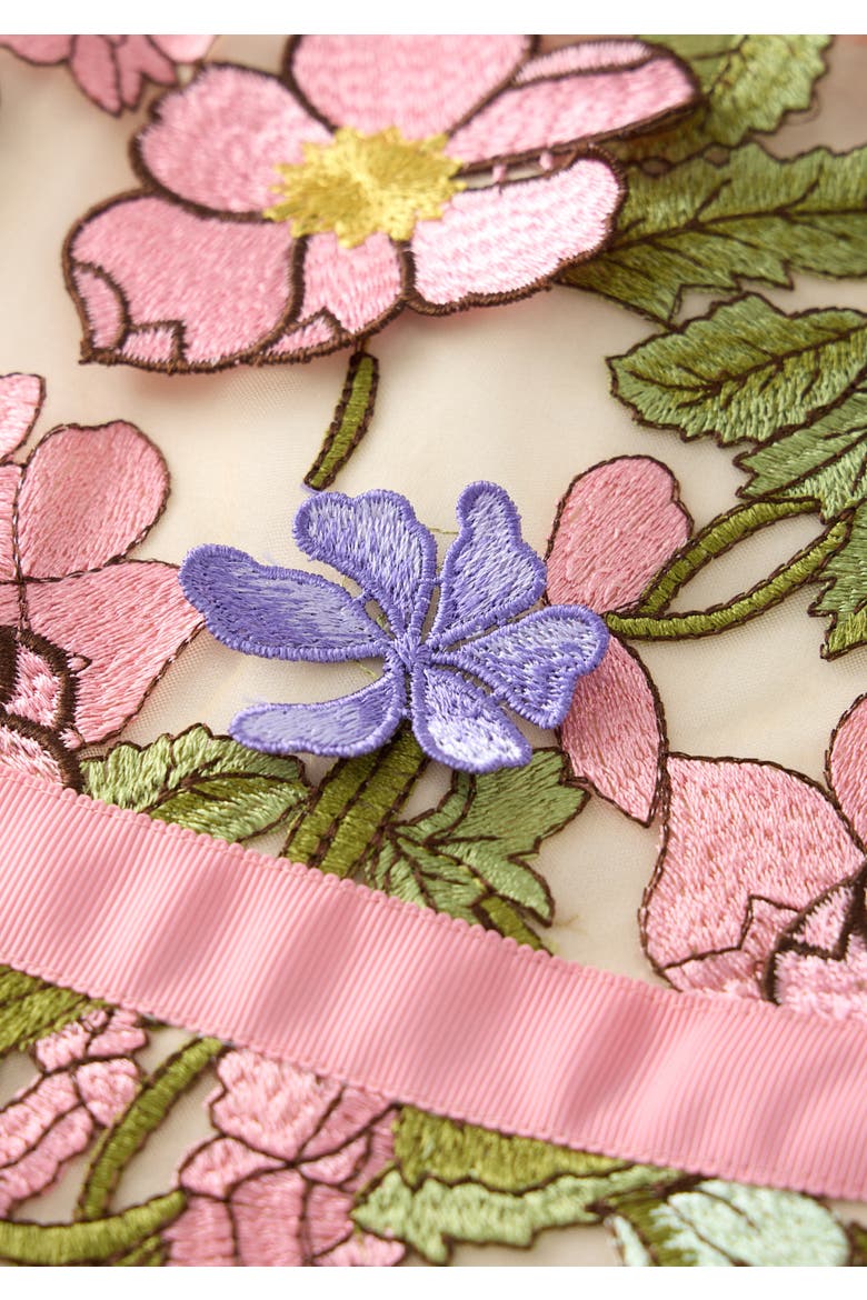 Bonnie Embroidered Mini Dress, Alternate, color, Floral