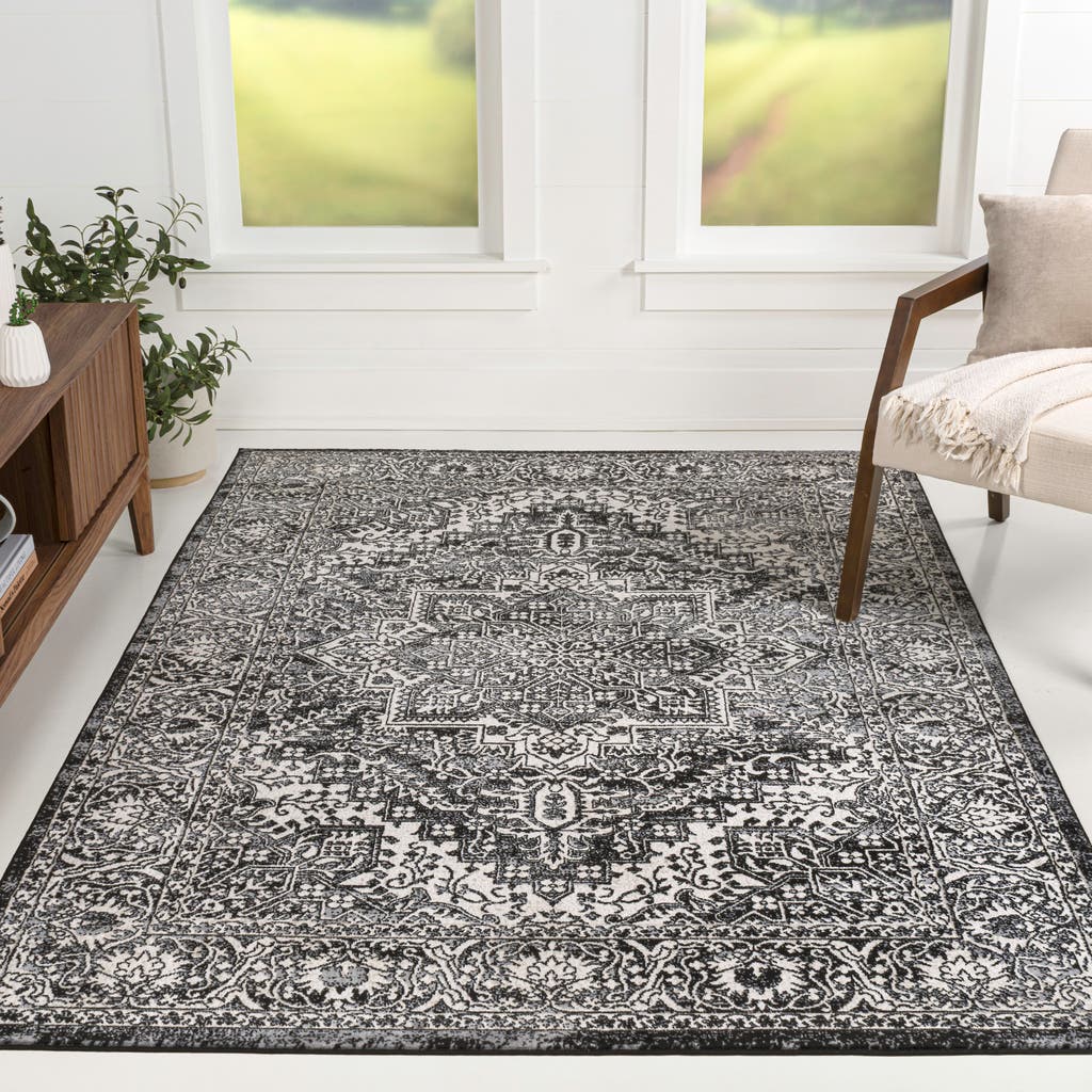Jonathan Y Modern Persian Vintage Medallion Area Rug In Black