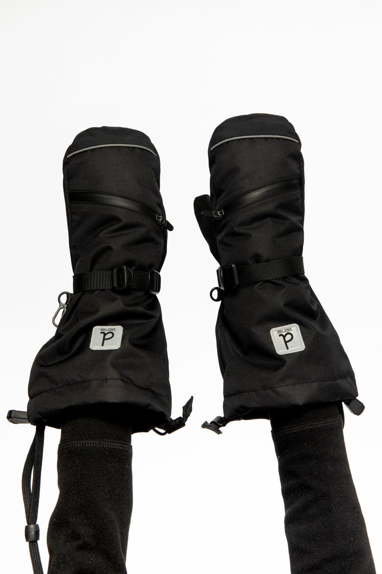 Teknik Waterproof Zipper Pocket Winter Mittens, Alternate, color, Noir