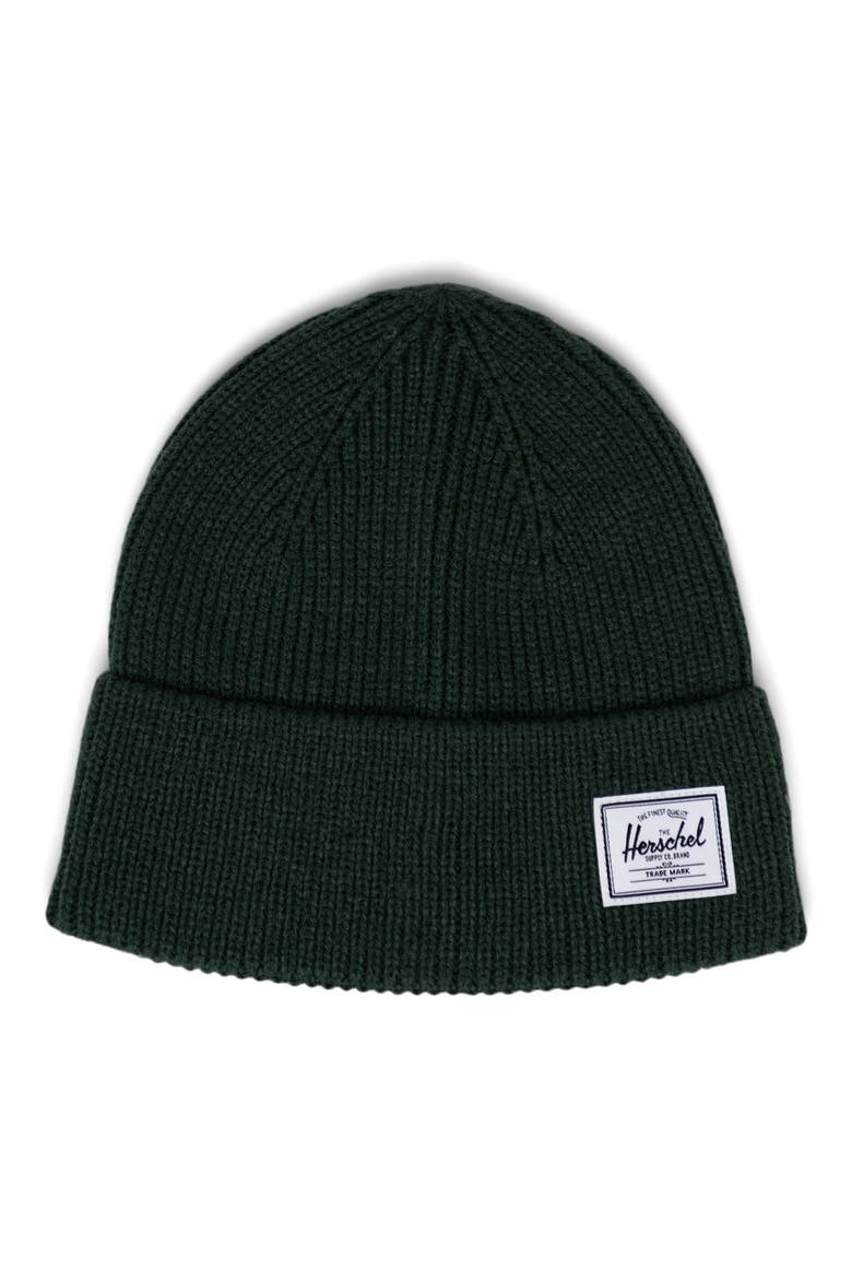 Polson Cuff Beanie, Main, color, IVY GREEN