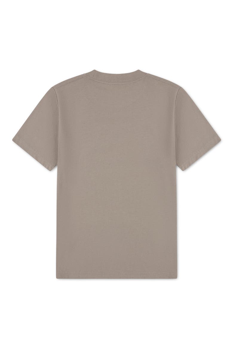Kids' Joyride Graphic T-Shirt, Alternate, color, SIMPLY TAUPE