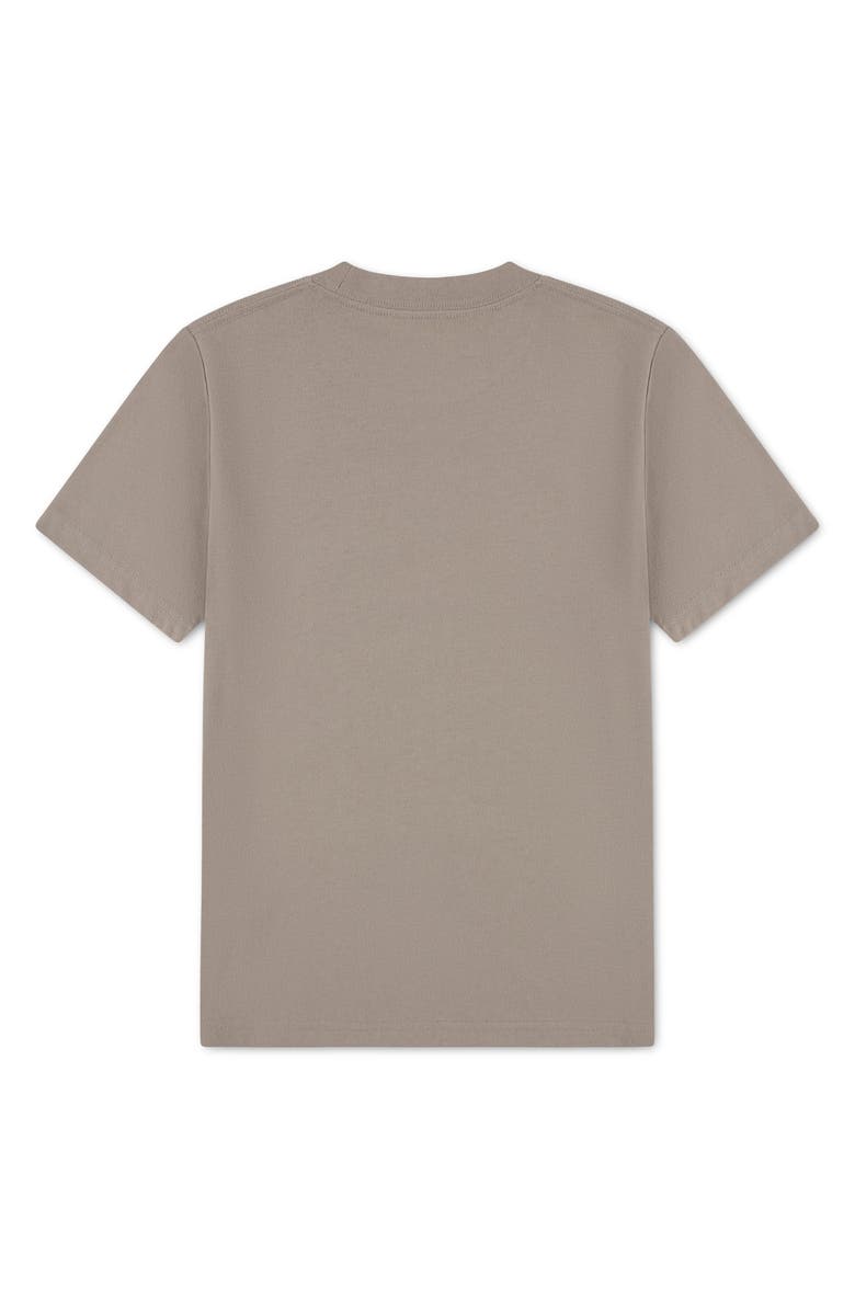 abercrombie kids Kids' Joyride Graphic T-Shirt, Alternate, color, Simply Taupe