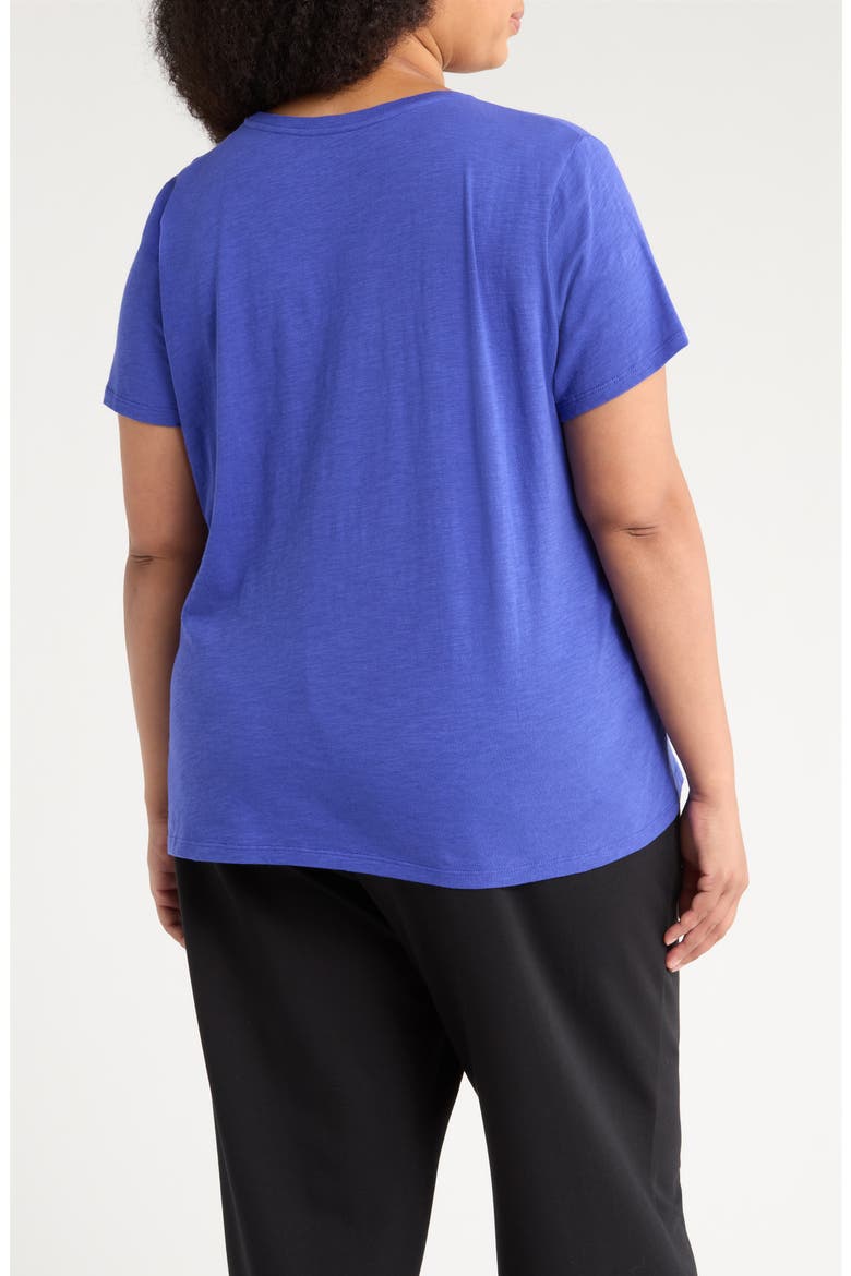 Easy V-Neck Organic Cotton Slub T-Shirt, Alternate, color, ROYAL