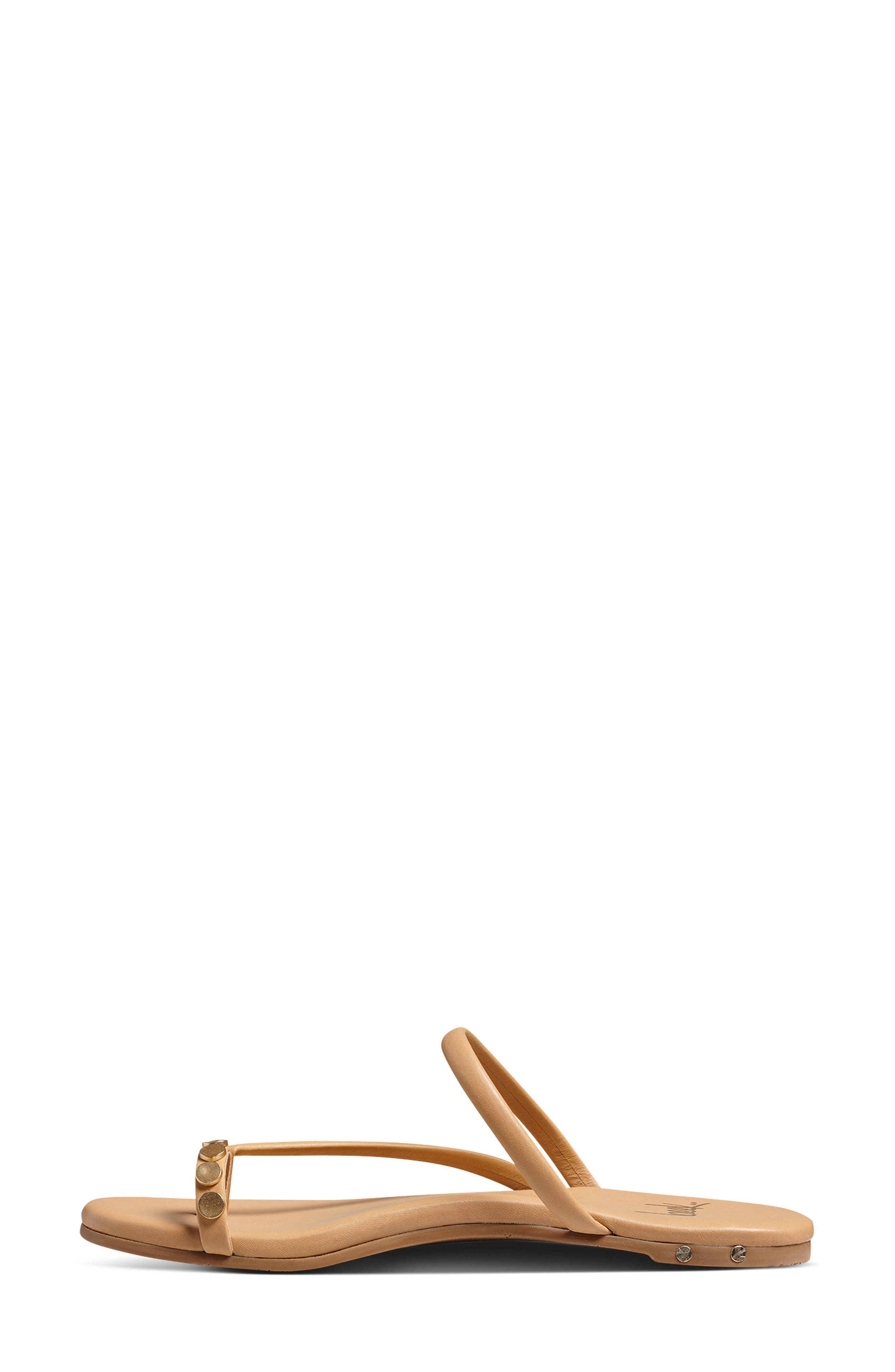 Starbird Studded Toe Ring Slide Sandal, Alternate, color, BEACH