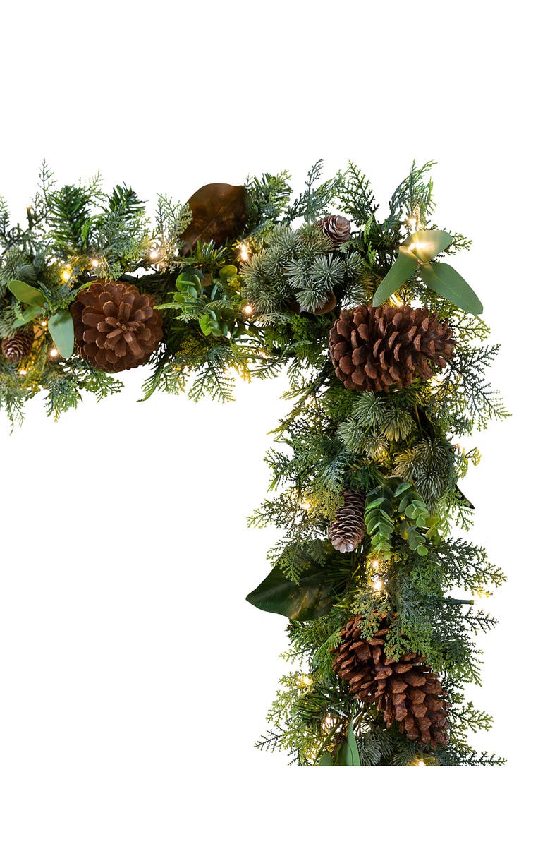 Balsam Hill Cedar Lodge Artificial LED Light Outdoor Garland, Main, color,