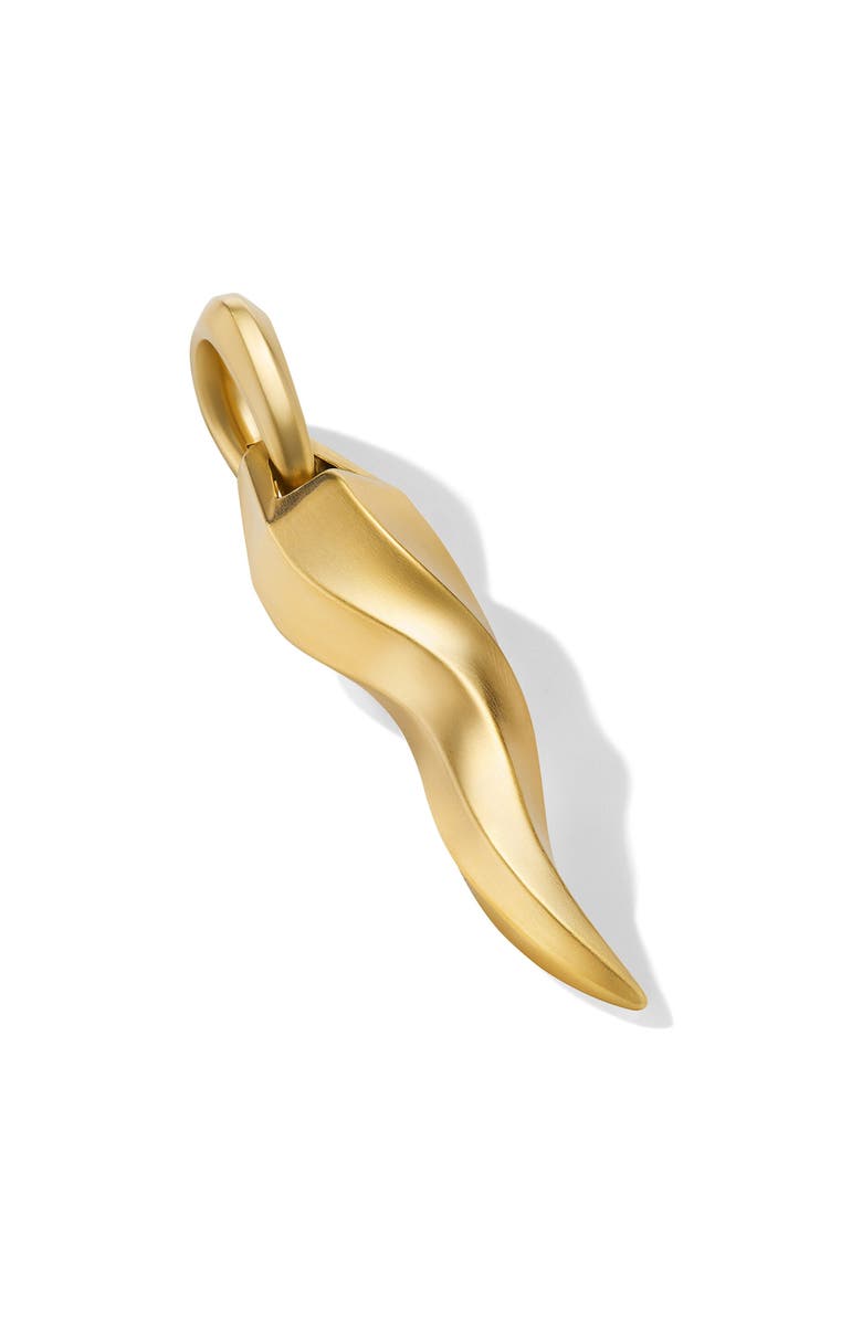 David Yurman Cornicello Amulet in 18K Yellow Gold, Alternate, color, 18K Gold