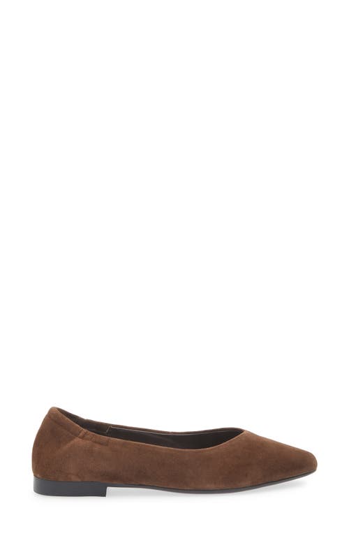 Cordani Mavis Pointed Toe Flat In Brown