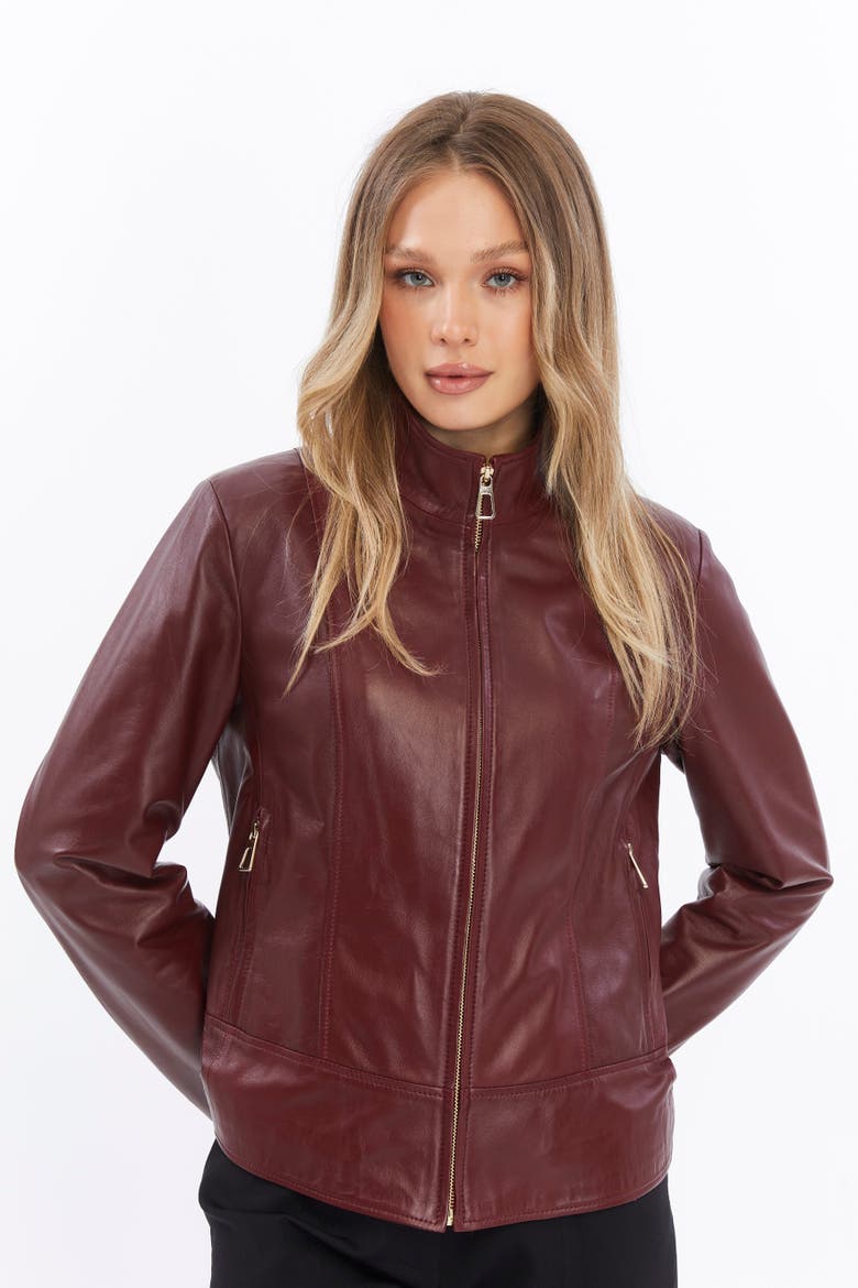 Blythe Leather Jacket, Alternate, color, Burgundy