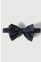 selected Navy Blue