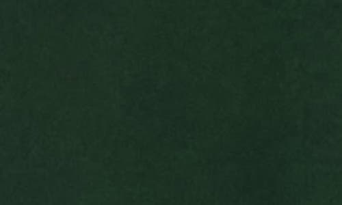 Hanes Ultimate Comfort Hoodie In Green