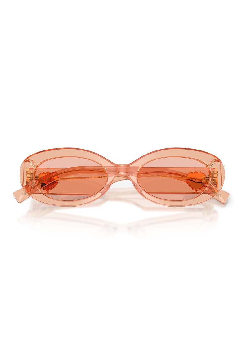 53mm Oval Sunglasses, Alternate, color, NUDE TRANSPARENT / DARK PINK