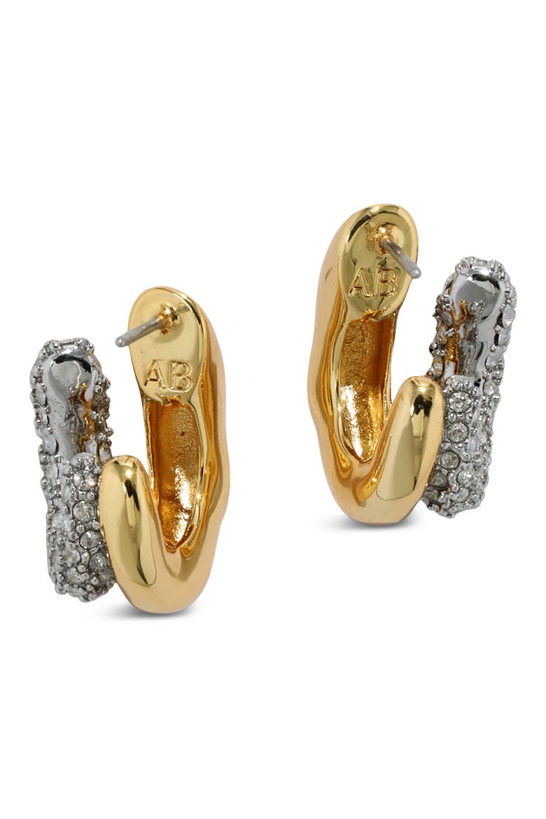 Solanales Crystal Double Hoop Earrings, Alternate, color, CRYSTALS