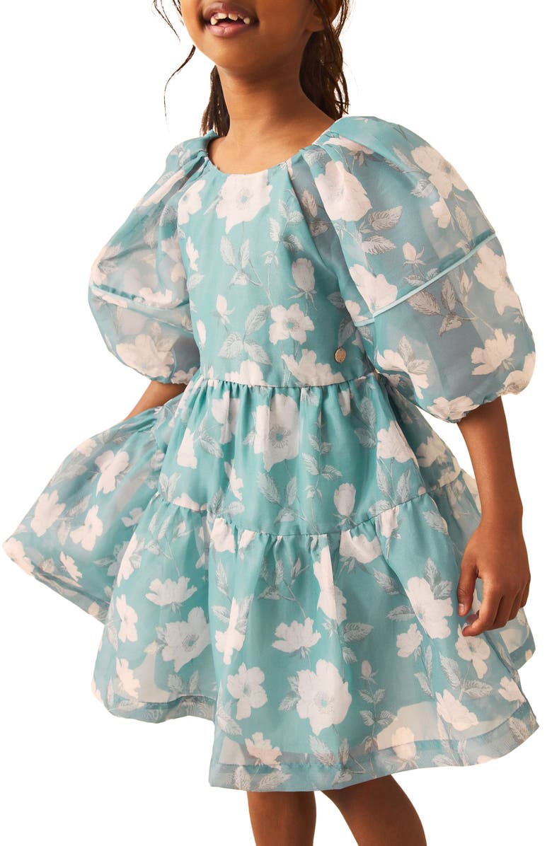 Robe Bébé Fille Laura Ashley Vert Pâle à Fleurs – Taille 2T, Sans Manches, Occasion Excellent état