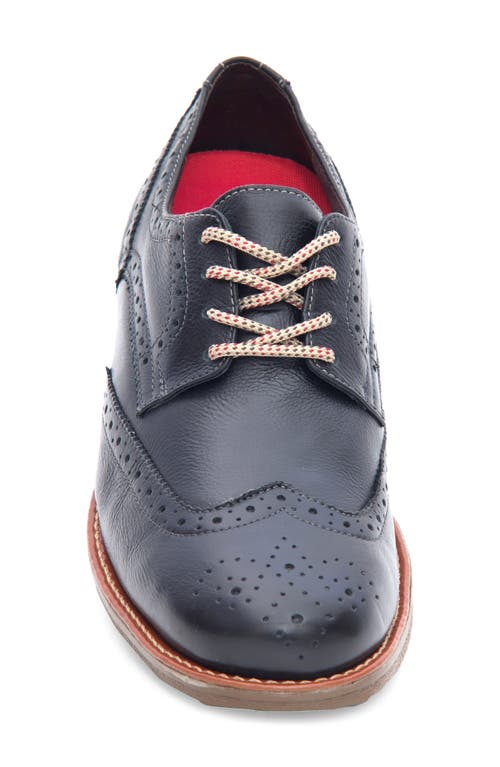 Sandro Moscoloni Shane Blucher Derby