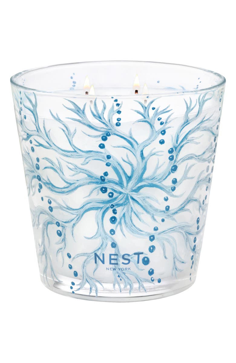 NEST New York Ocean Mist & Sea Salt Candle, Alternate, color,