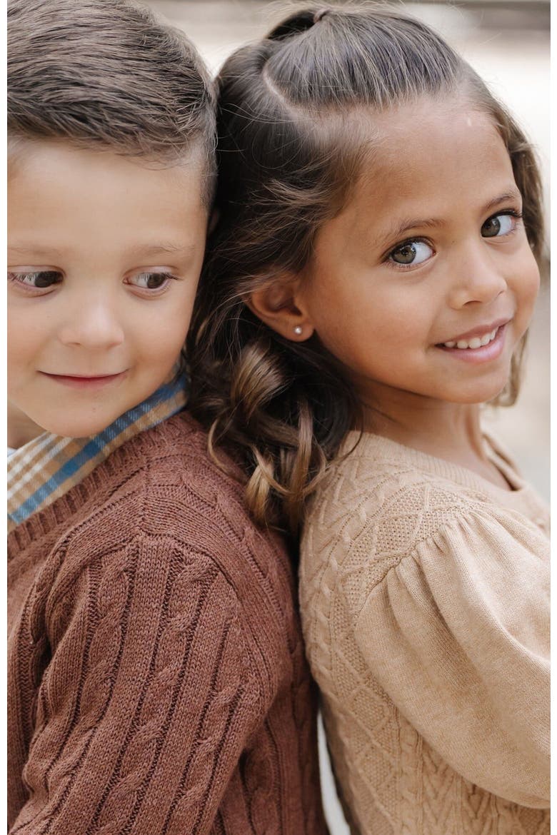 Boys' Organic Fine Gauge Cable V-Neck Sweater, Kids, Alternate, color, Cinnamon Heather Cable