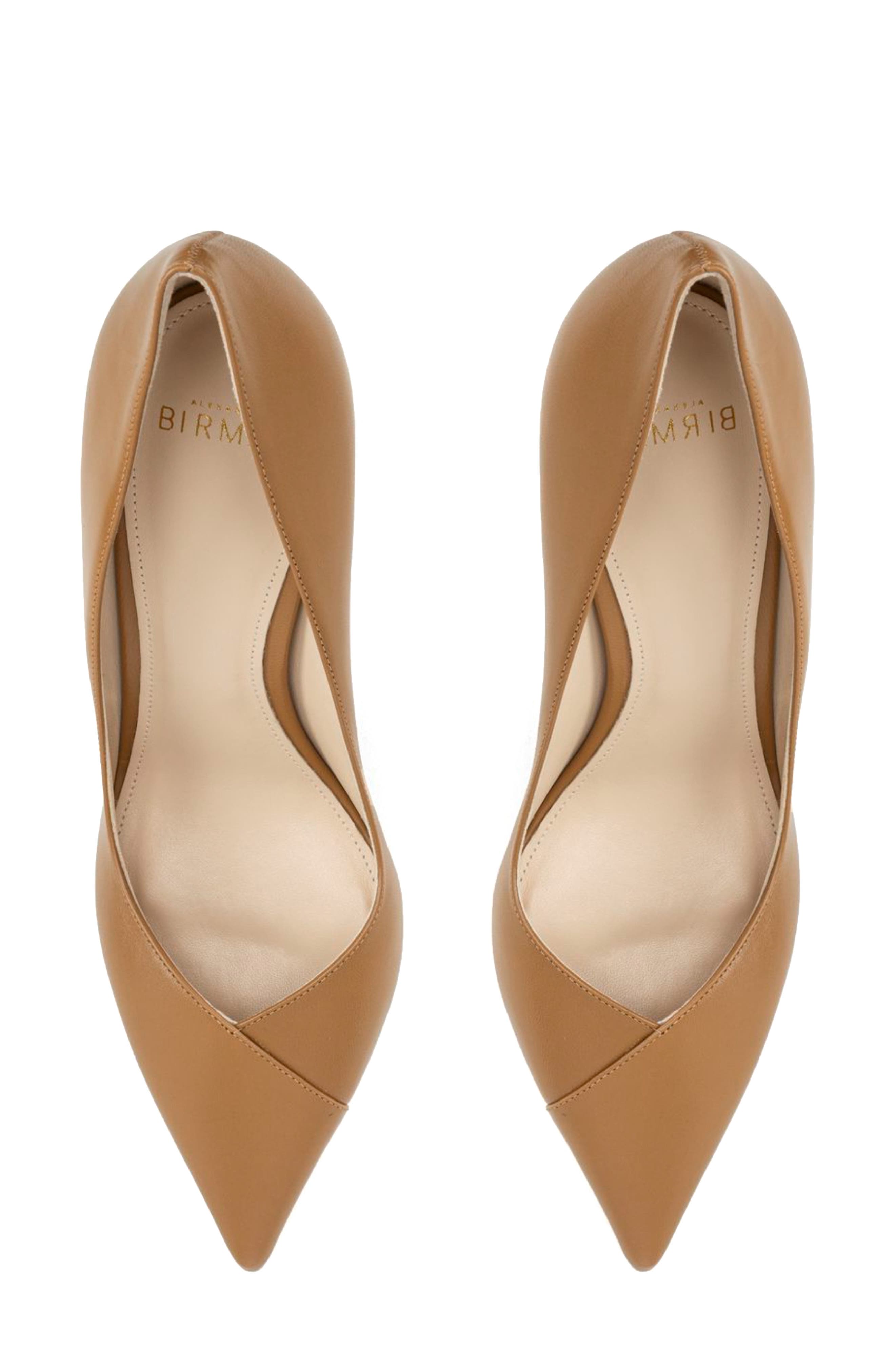 Alexandre Birman Pamela Pointed Toe Pump, Alternate, color, 