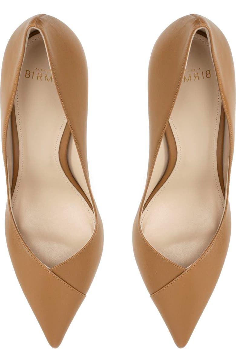Alexandre Birman Pamela Pointed Toe Pump, Alternate, color,