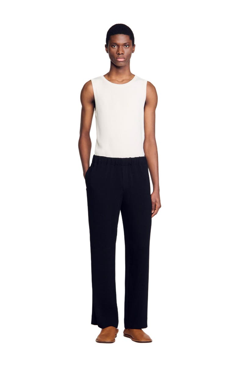 SANDRO Pleated trousers, Alternate, color, 