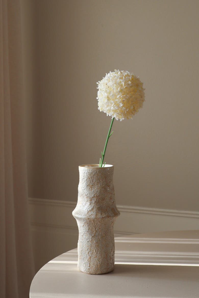 White Allium Giganteum, Alternate, color, White