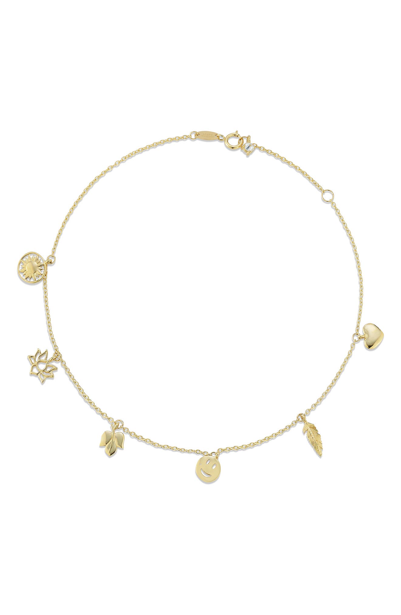 Ember Fine Jewelry 14K Gold Charm Anklet