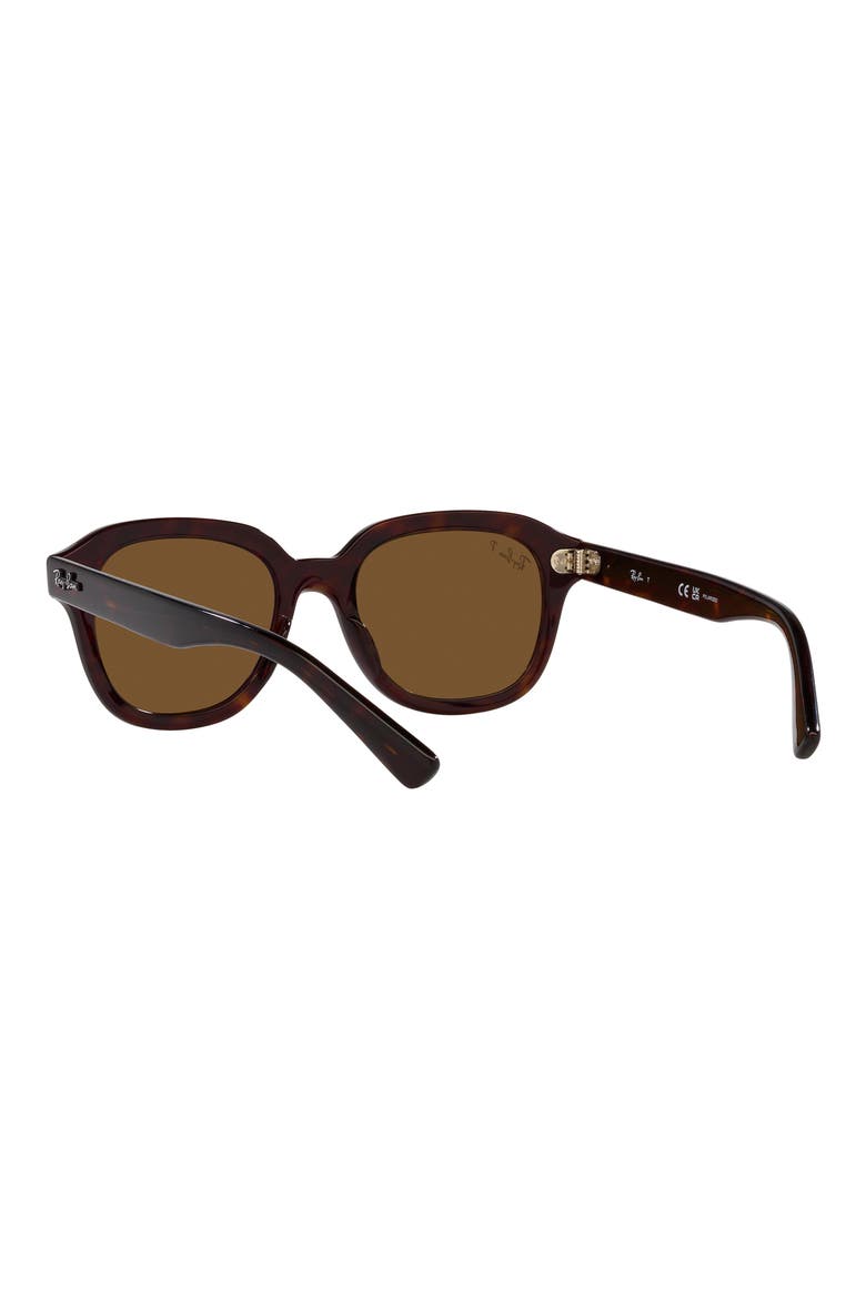 Erik 53mm Polarized Square Sunglasses, Alternate, color, HAVANA