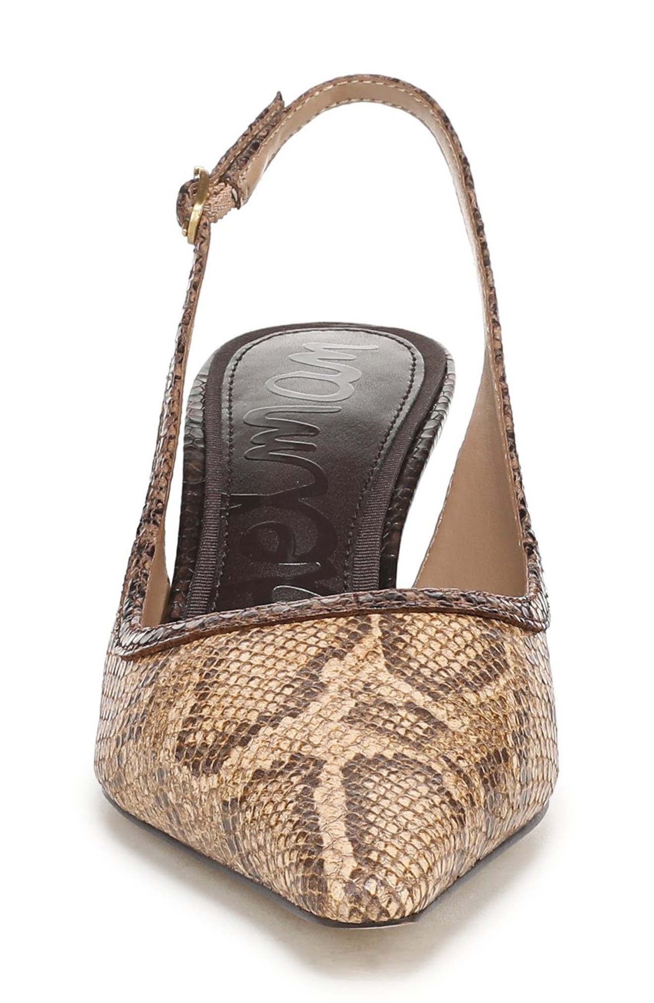 Bianka Slingback Mesh Pointed Toe Pump, Alternate, color, BROWN MULTI