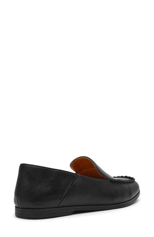 Dolce Vita Dv By Maxon Loafer In Black